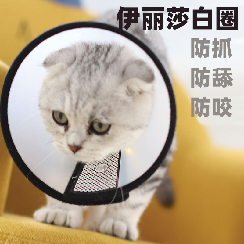 伊丽莎白圈狗猫脖套防抓咬绝育
