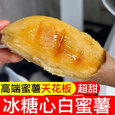白心冰糖心蜜薯白哈密哈密红薯地瓜白玉冰淇淋烤薯高端稀瓤奶油心