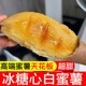 白心冰糖心蜜薯白哈密哈密红薯地瓜白玉冰淇淋烤薯高端稀瓤奶油心