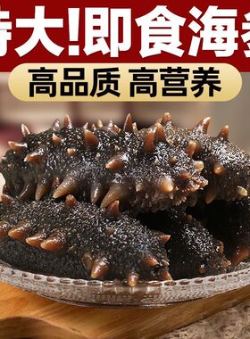 大连即食海参辽刺参新鲜海参海鲜水产海参非干海参特大号即食水产