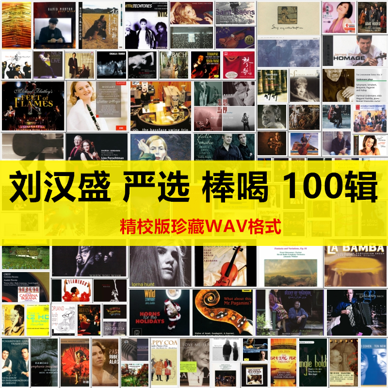 S100刘汉盛严选棒喝100WAV音源