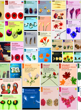 C133 DG & Decca 菲利普 Trio Series系例音乐古典无损音源150CD