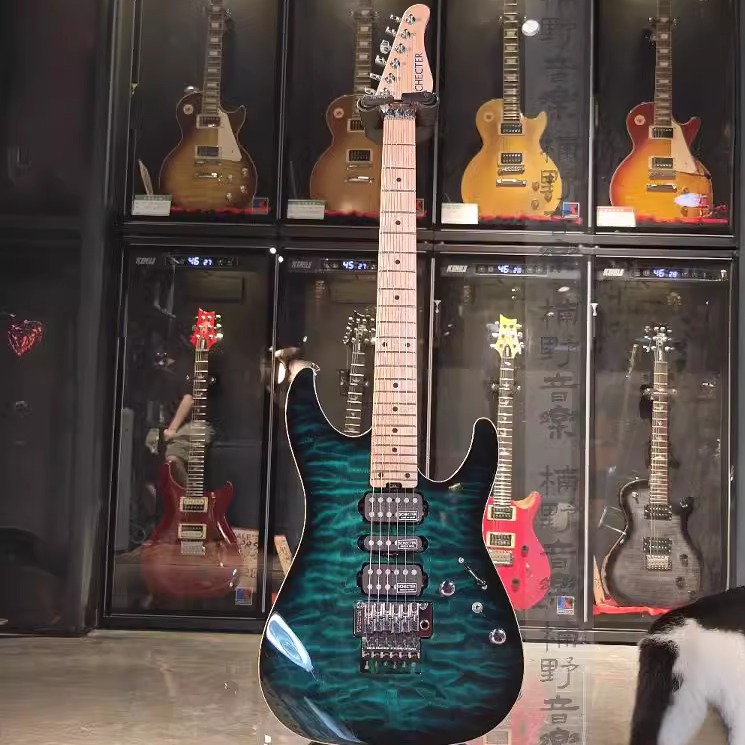 双摇日产电吉他Schecter