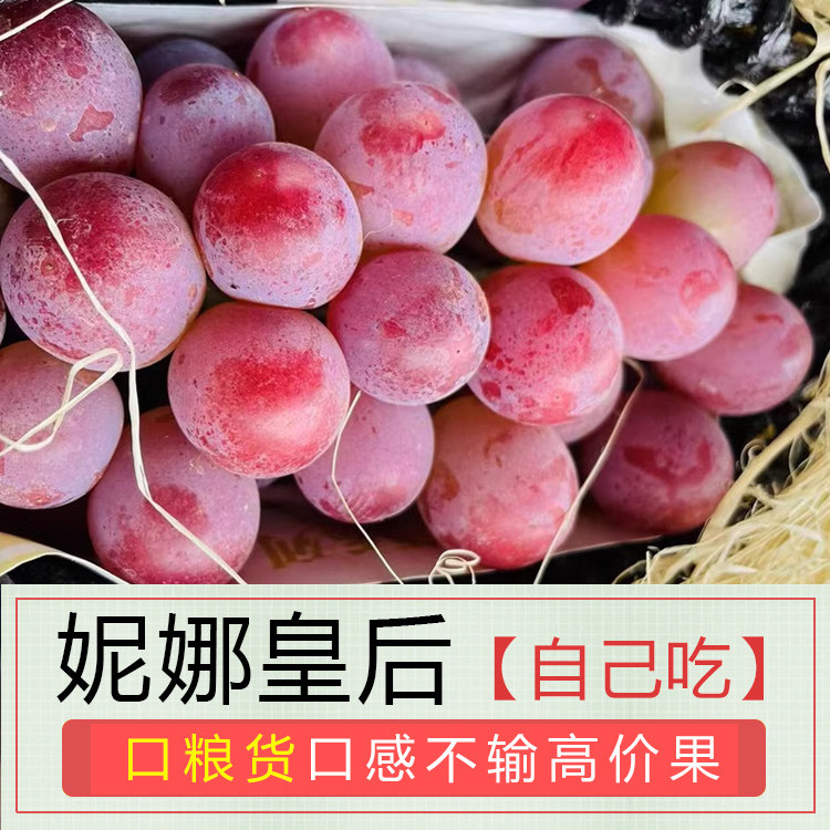 正宗妮娜皇后葡萄云南弥勒新鲜