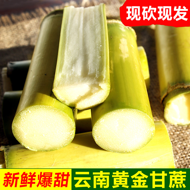 云南黄金甘蔗超甜 新鲜水果孕妇当季绿皮黄皮白玉甘蔗超甜多汁9斤