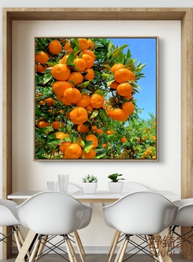 大吉大利橘子水果挂画硕果累累丰收富足餐厅壁画五行喜木风水画