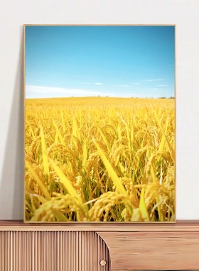 五行喜土金风景画金稻田图客厅装饰画餐厅挂画寓意财富足家境殷实