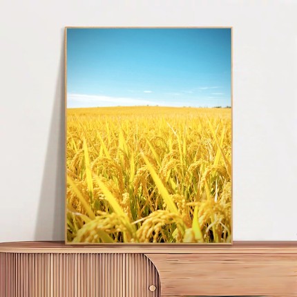 五行喜土金风景画金稻田图客厅装饰画餐厅挂画寓意财富足家境殷实
