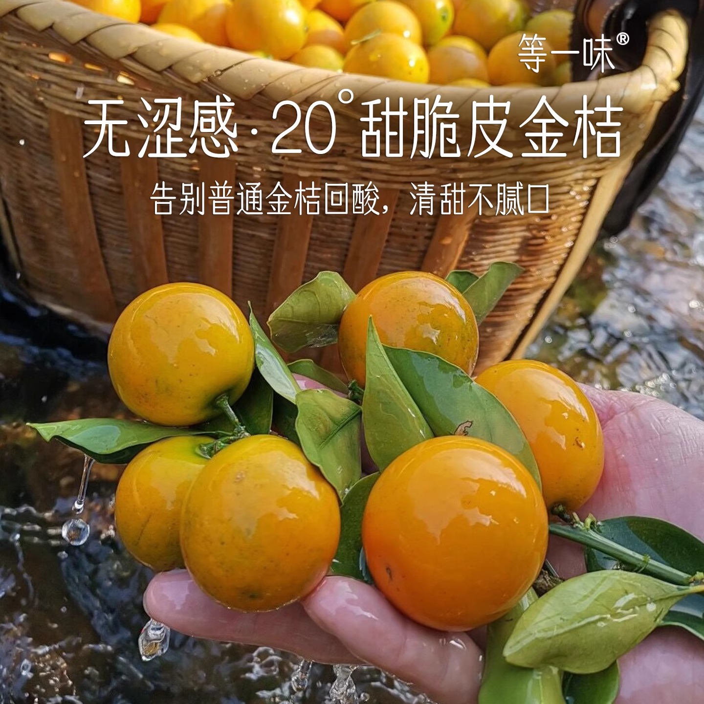 终于等到等一味滑皮金桔脆甜