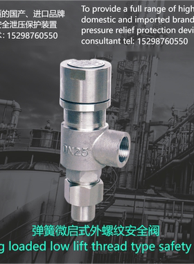 定制弹簧微启式外螺纹安全阀A21超压保护装置承压设备液化石油气