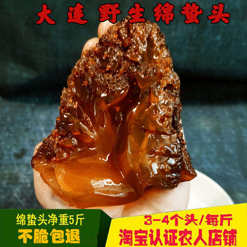 大连水产特级5斤桶装包邮海蜇头