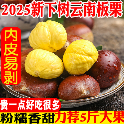 板栗新鲜大果力荐5斤包邮