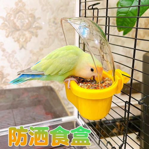 美国Caitec鹦鹉防洒防溅食盒