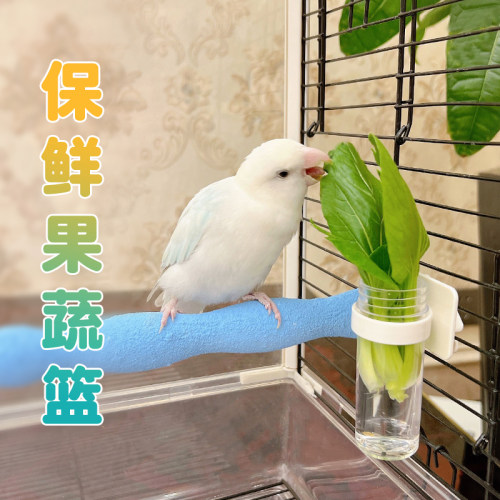 鹦鹉果蔬保鲜篮保持新鲜蔬菜不焉