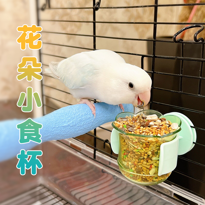 鹦鹉壁挂食碗加粮加水小巧便捷