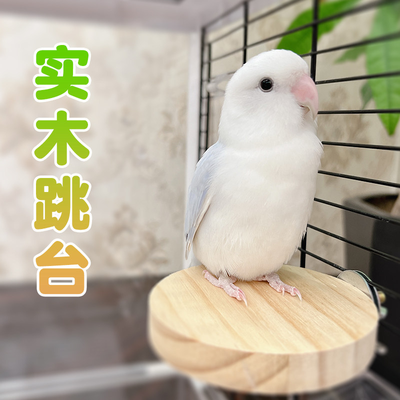 鹦鹉实木站台牡丹虎皮玄凤文鸟笼内跳台站板攀爬玩耍鸟用品鸟玩具,宠物/宠物食品及用品,鸟禽其他,淘宝优惠券,粉丝福利购,淘宝优惠卷