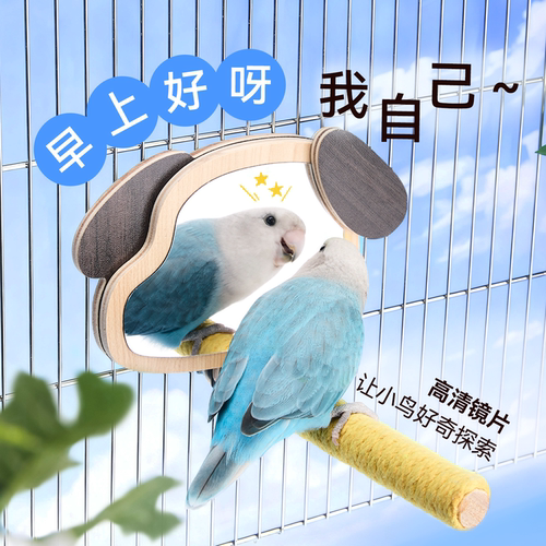 鹦鹉站杆鸟站架解闷攀爬啃咬玄凤牡丹虎皮磨爪棒互动镜子玩具