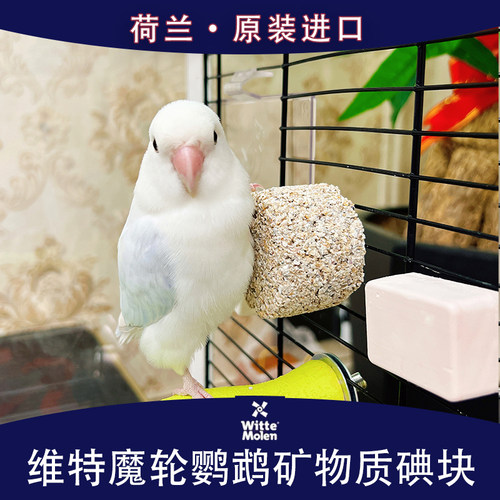 维特魔轮碘块钙块补充微量元素