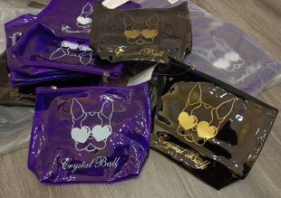 订单库存黑色紫色斗牛犬果冻透明拉链化妆包收纳包小号包中包