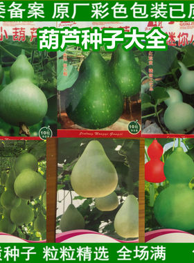 迷你招财八仙大葫芦彩色盆栽种子