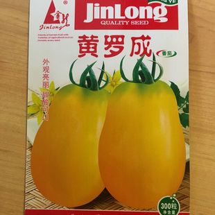 五彩罗成种子绿红黄红罗成小大番茄盆栽水果瓜果四季播种蔬菜种孑