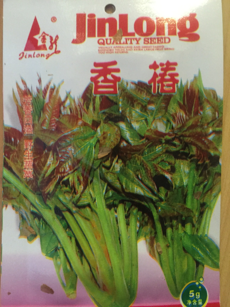 香椿种子红油香椿芽种籽芽苗菜香椿苗红椿树椿芽树四季播蔬菜种孑