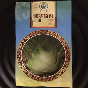 球茎结球茴香种子割茬小叶茴香种籽菜籽带根四季盆栽苗大蔬菜苗孑