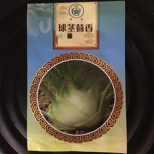 茴香种子割茬带根四季盆栽苗球茎