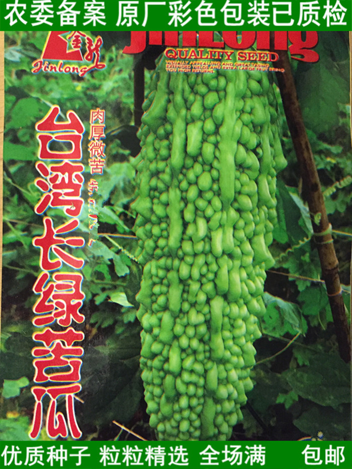 蔬菜台湾苦瓜种子