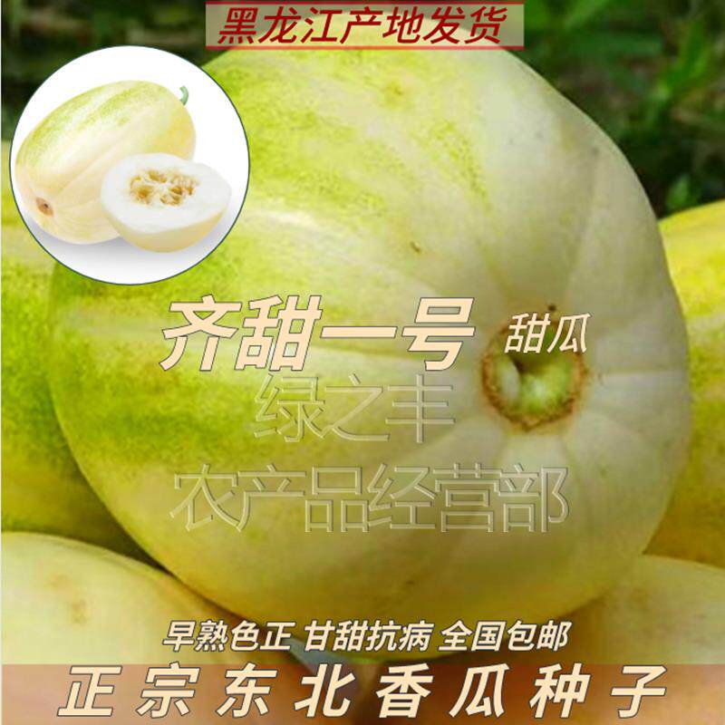 甜香瓜种籽东北齐甜一号香瓜种子正宗甜妃籽薄皮黄白高糖四季水果
