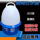鸽子饮水器加厚喝水壶信鸽自动供水壶赛鸽鸟用水桶鸽具鸽水槽