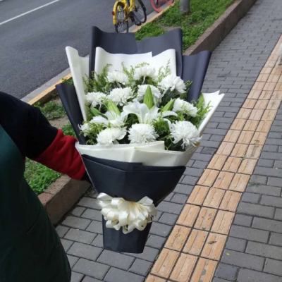 上海天津济南北京菊花同城配送