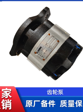 徐工XS203J压路机原厂齿轮泵803086849