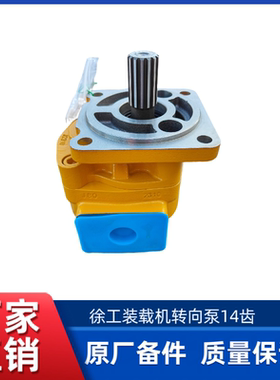 徐工ZL50GV/ZL50GN/LW500FN/FV/KV装载机铲车CBGJ2080H 转向泵