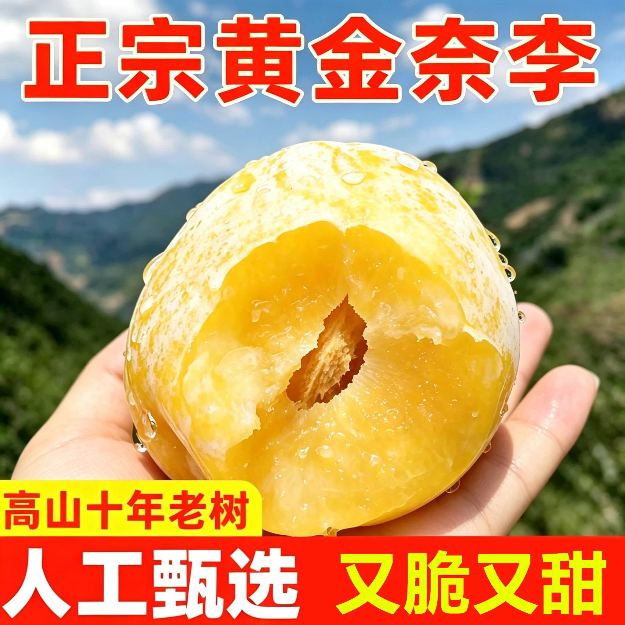 黄金奈李新鲜水果汝城文明翡翠李