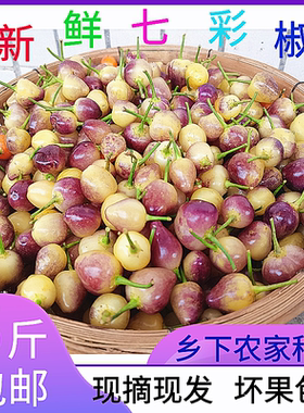 广东新鲜五彩椒七彩椒辣椒现摘现发珍珠椒圆椒五色椒5斤装包邮