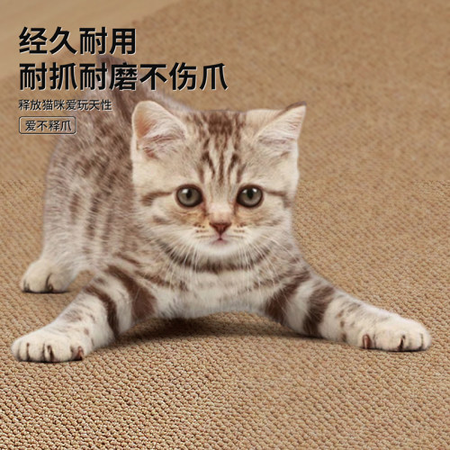 防猫抓客厅卧室床边地毯