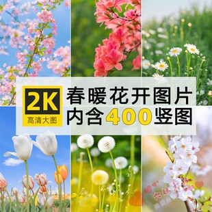 2K高清图库春暖花开唯美春天花海花朵绿色壁纸手机竖屏ps图片素材