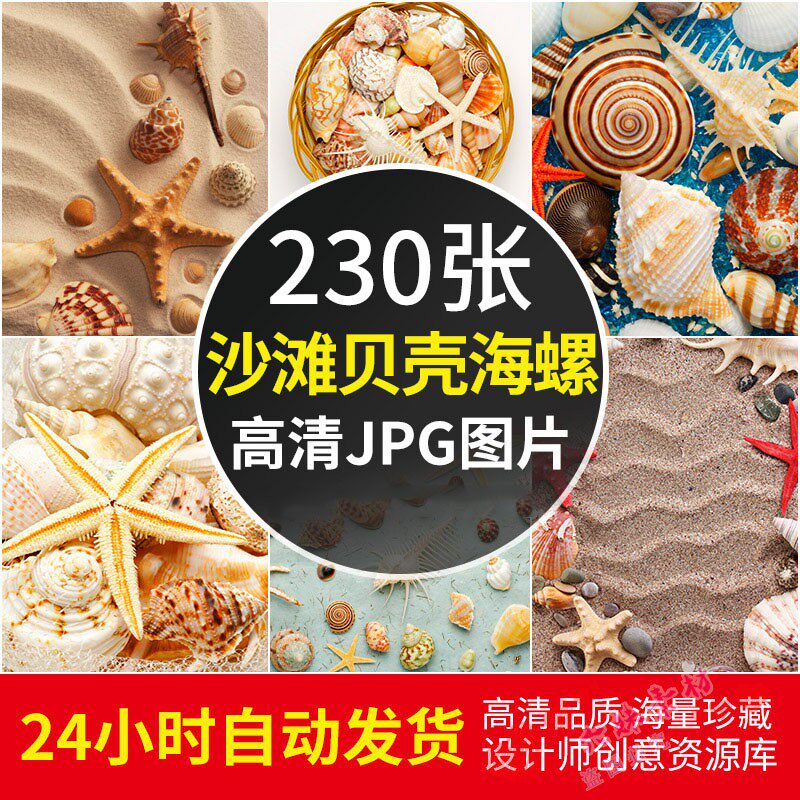 高清海边沙滩贝壳海螺图片海星漂流瓶清新夏日电脑壁纸照片2K素材怎么看?