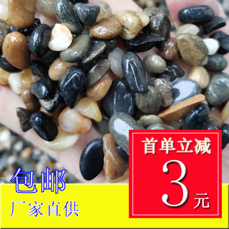 豆石沼泽过滤豆石 小鹅卵石地暖回填施工鱼缸滤料过滤材料雨花石