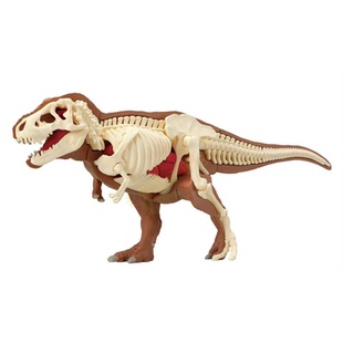 MegaHouse 3D 立体拼图 霸王龙 解剖 内部结构 儿童学习 拼装模型