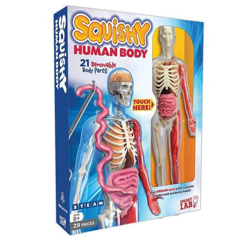 DK human body探索人体器官模型人体拼图smartlab 人体百科图解