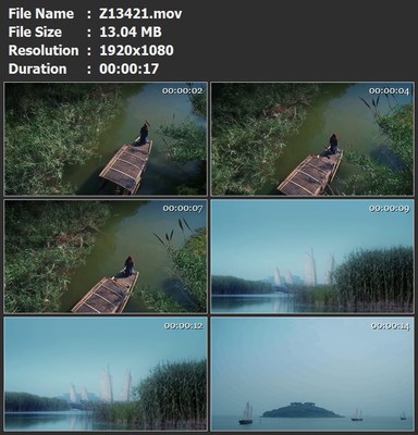 乌篷船夫船客湖泊太湖帆船芦苇荡湖心小岛高清实拍视频素材