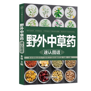 野外中草药速认图谱朱强主编18大类中草药图谱辨识查用中药材百科全书药典中药性味归经验名方药膳中医养生书籍江苏凤凰科技出版社