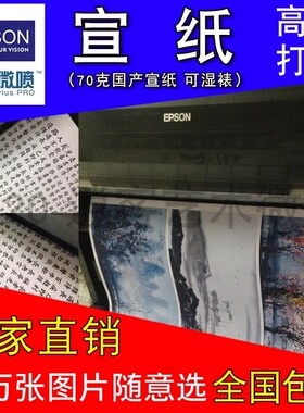 宣纸打印艺术微喷喷绘印刷新中式复印国画现代书法字画定制复制画