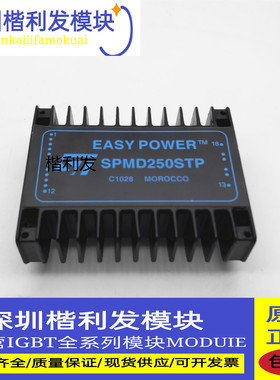 全新现货SPMD250STP价格咨询