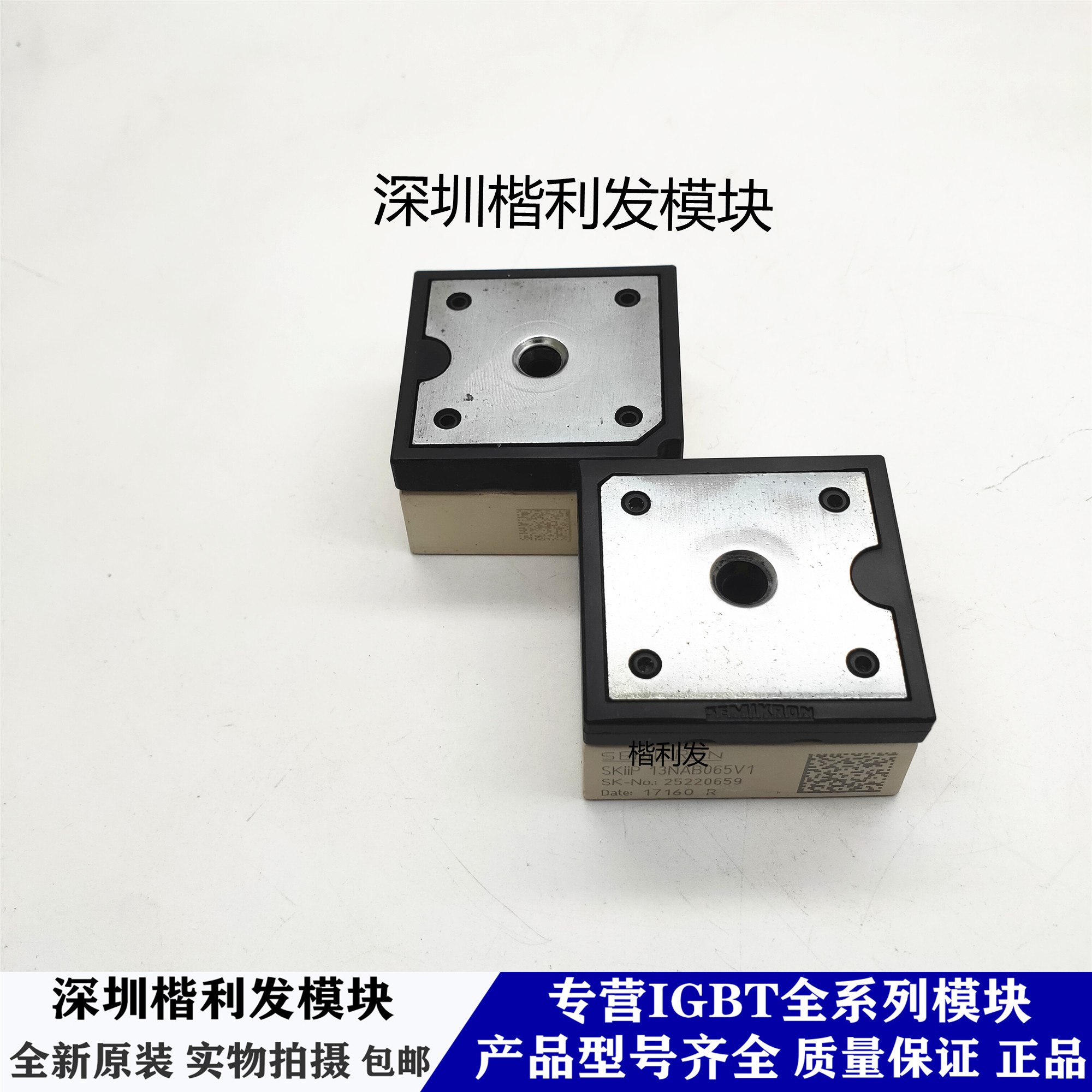 全新原装现货SKIIP13NAB065V1 SKIIP14NAB065V1 SKIIP11NAB066V1