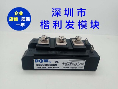 进口韩国大卫模块 DM2G200SH6NDM2G400SH6N DM2G150SH6N
