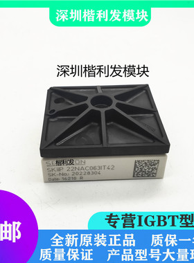 全新现货SKIIP22NAC063IT42 SKIIP11NAC063IT42 SKIIP22NAB12T45