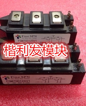 FGM100D12AV1 FGM75D12AV1 FGM150D12AV1 FGM75D06AV1 品质保证